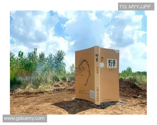 李泓澎:从文学创作到社会影响力的全方位探索与思考