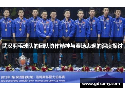 武汉羽毛球队的团队协作精神与赛场表现的深度探讨