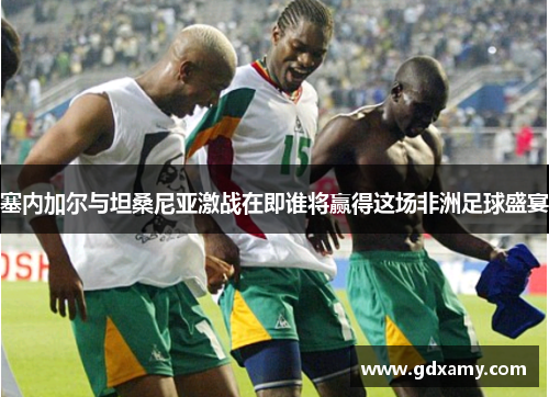 塞内加尔与坦桑尼亚激战在即谁将赢得这场非洲足球盛宴