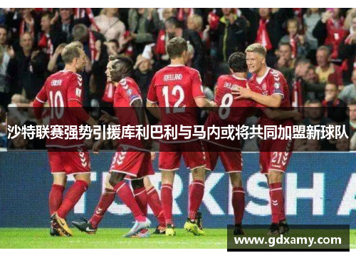 沙特联赛强势引援库利巴利与马内或将共同加盟新球队