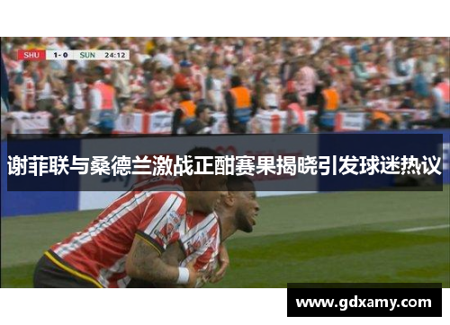 谢菲联与桑德兰激战正酣赛果揭晓引发球迷热议