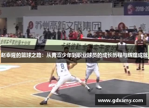 赵泰隆的篮球之路：从青涩少年到职业球员的成长历程与辉煌成就